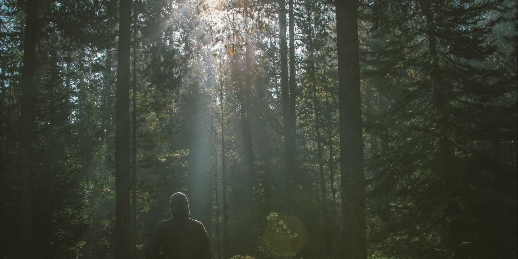 Kurumsal duruşu yansıtan modern inşaat perspektifi