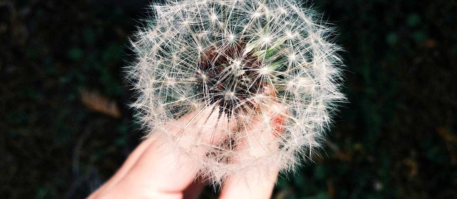 Projeyi Birlikte Planlayalım