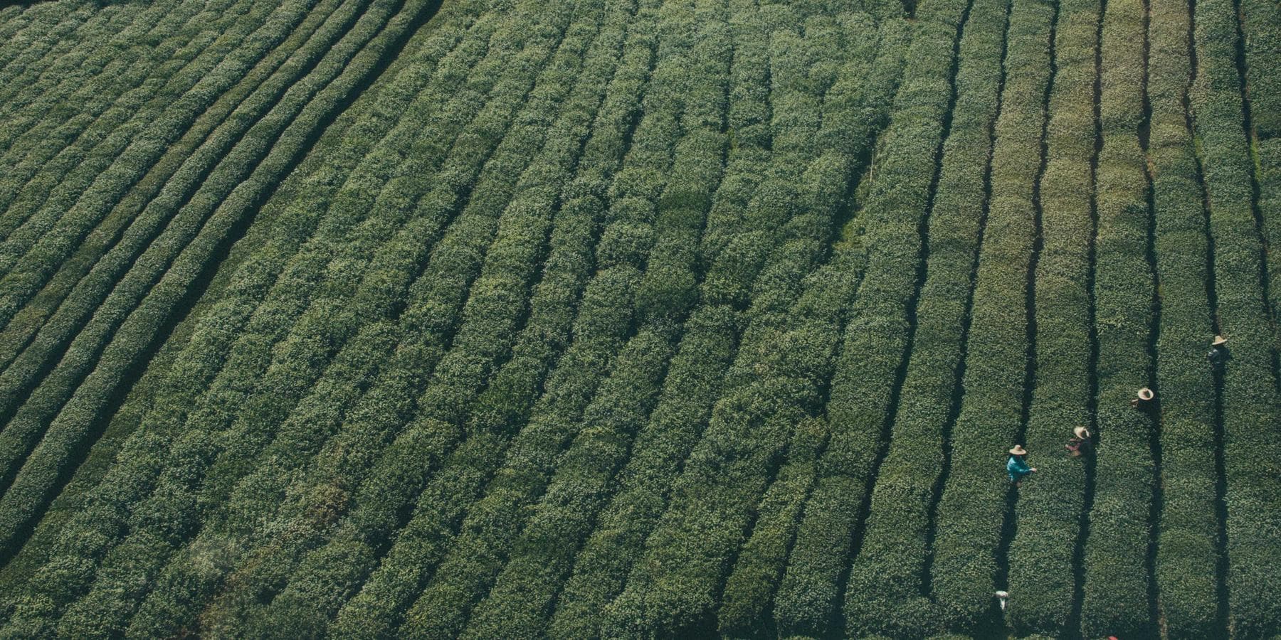 Takım çalışması ile inşaat proje yönetimi