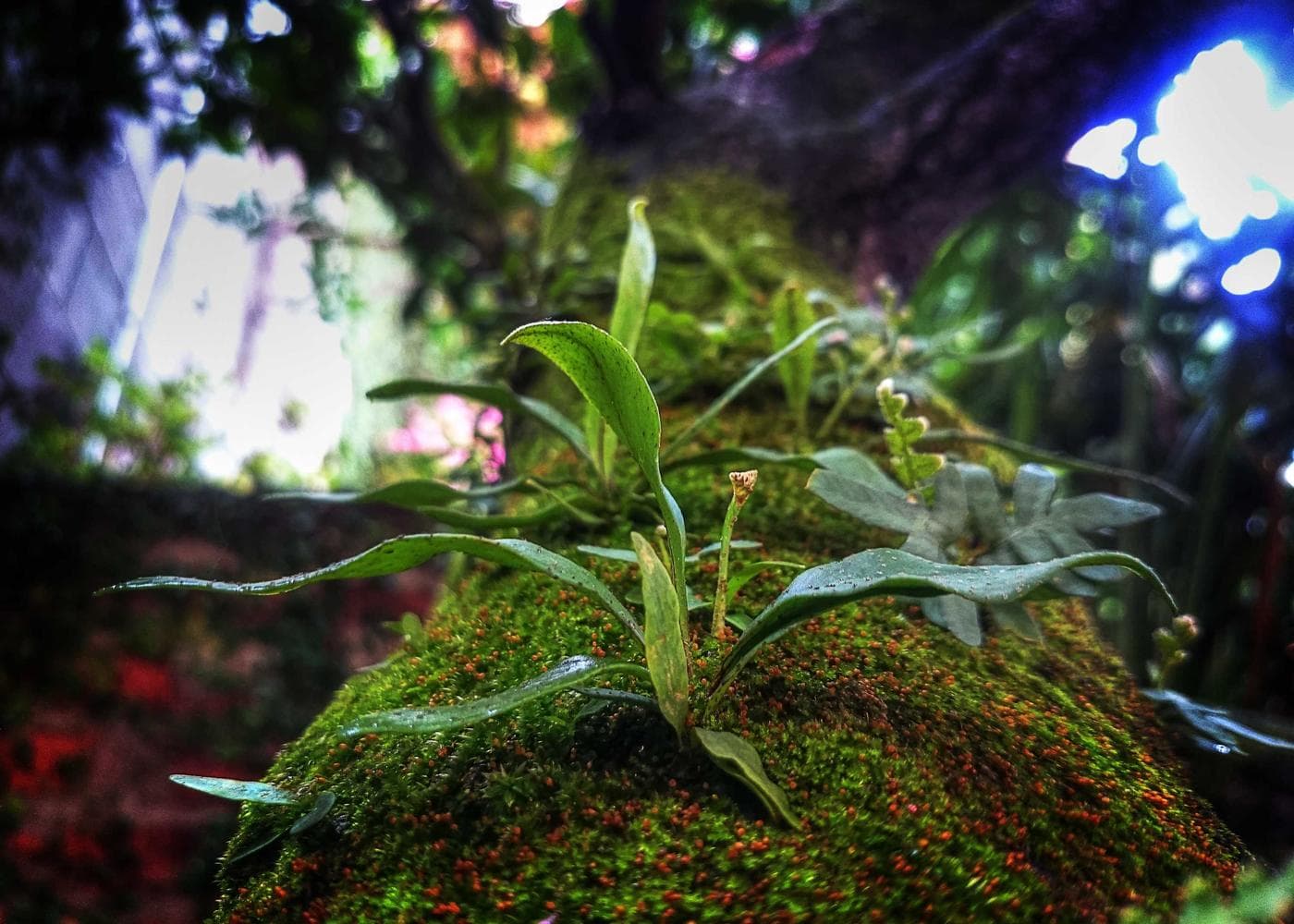 Pelitoğlu İnşaat proje planlama ve uygulama sahası